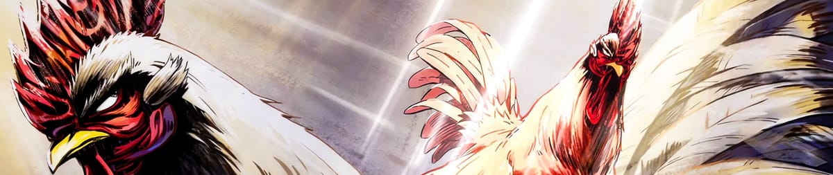 Rooster Fighter